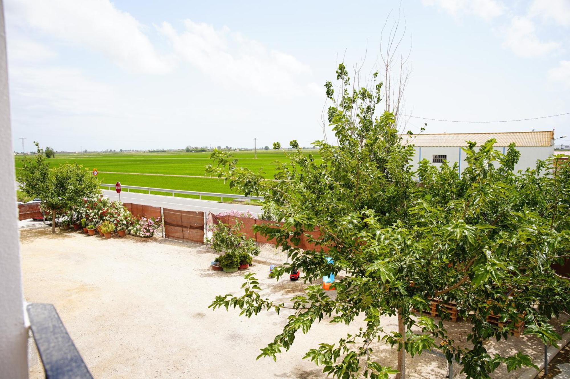 Casa Pastoret Deltebre Dış mekan fotoğraf